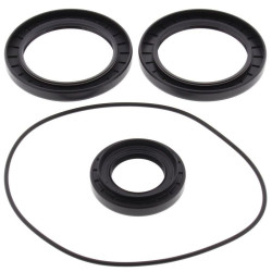 Kit retenes de diferencial trasero ALL BALLS