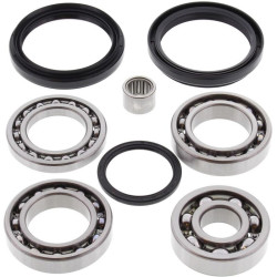 Kit rodamientos y retenes de diferencial trasero ALL BALLS