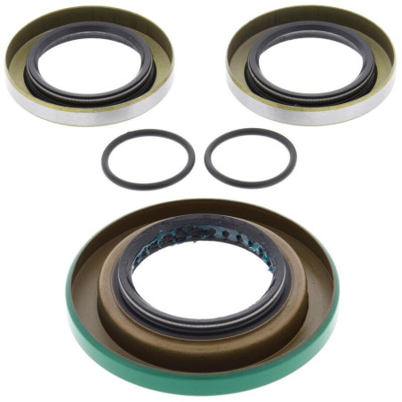 Kit retenes de diferencial trasero ALL BALLS
