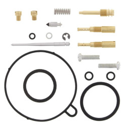 Kit reparación de carburador ALL BALLS