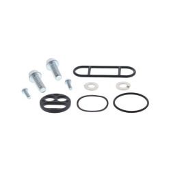 Kit reparación grifo de gasolina ALL BALLS