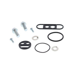Kit reparación grifo de gasolina ALL BALLS