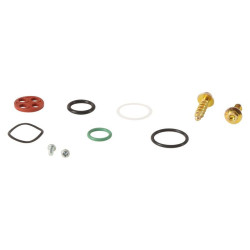 Kit reparación grifo de gasolina ALL BALLS