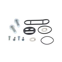 Kit reparación grifo de gasolina ALL BALLS