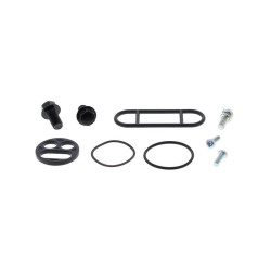 Kit reparación grifo de gasolina ALL BALLS