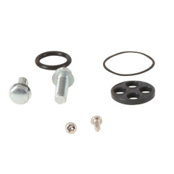 Kit reparación grifo de gasolina ALL BALLS