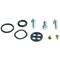Kit reparación grifo de gasolina ALL BALLS