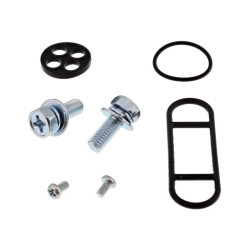 Kit reparación grifo de gasolina ALL BALLS