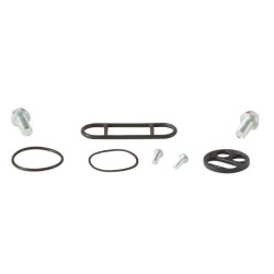 Kit reparación grifo de gasolina ALL BALLS