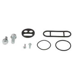 Kit reparación grifo de gasolina ALL BALLS