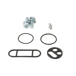 Kit reparación grifo de gasolina ALL BALLS