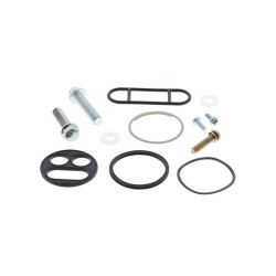 Kit reparación grifo de gasolina ALL BALLS