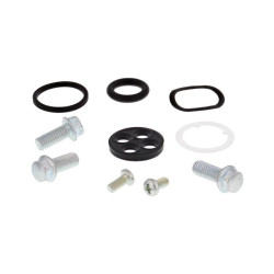 Kit reparación grifo de gasolina ALL BALLS