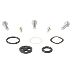 Kit reparación grifo de gasolina ALL BALLS