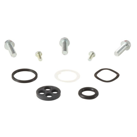 Kit reparación grifo de gasolina ALL BALLS