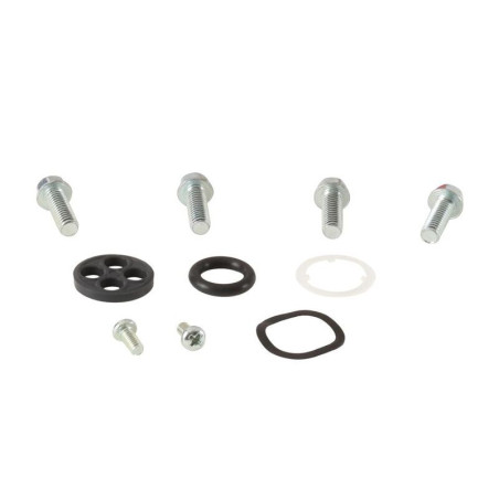 Kit reparación grifo de gasolina ALL BALLS
