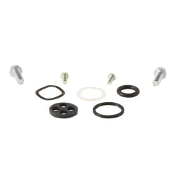 Kit reparación grifo de gasolina ALL BALLS