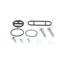 Kit reparación grifo de gasolina ALL BALLS