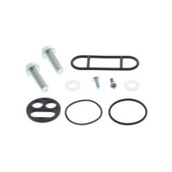 Kit reparación grifo de gasolina ALL BALLS