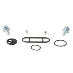 Kit reparación grifo de gasolina ALL BALLS