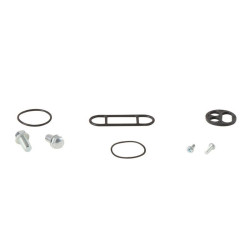 Kit reparación grifo de gasolina ALL BALLS