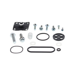 Kit reparación grifo de gasolina ALL BALLS
