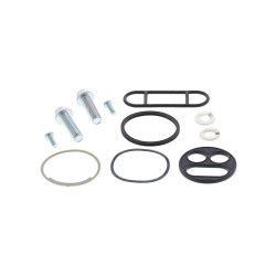 Kit reparación grifo de gasolina ALL BALLS