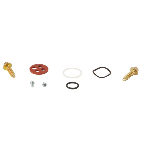 Kit reparación grifo de gasolina ALL BALLS