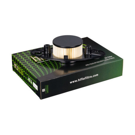 Filtro de aire HIFLOFILTRO - HFA3808