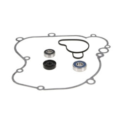 Kit reparación bomba de agua PROX