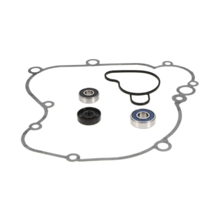 Kit reparación bomba de agua PROX