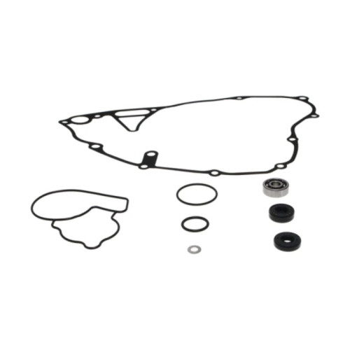 Kit reparación bomba de agua PROX