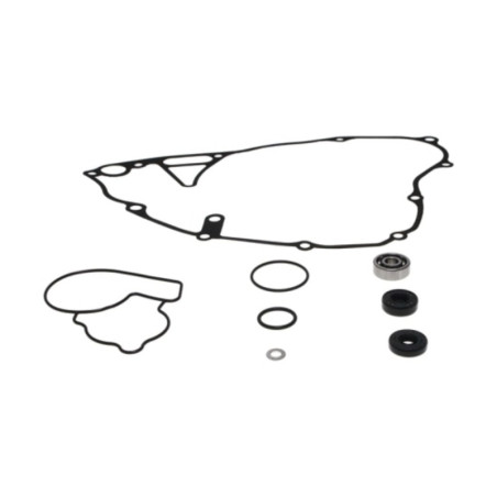 Kit reparación bomba de agua PROX