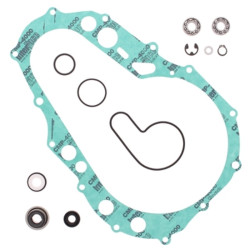 Kit reparación bomba de agua PROX 2