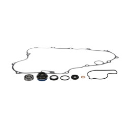 Kit reparación bomba de agua PROX 2