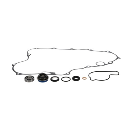 Kit reparación bomba de agua PROX