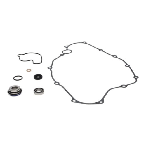 Kit reparación bomba de agua PROX