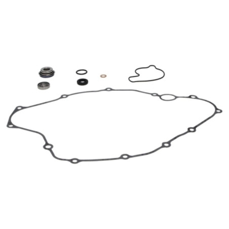 Kit reparación bomba de agua PROX
