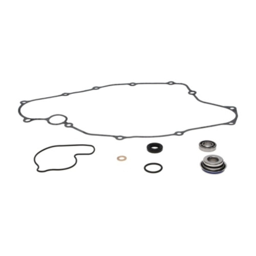 Kit reparación bomba de agua PROX