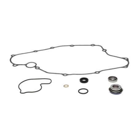 Kit reparación bomba de agua PROX