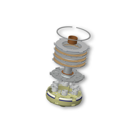 Embrague completo Power Up MALOSSI para campana de embrague Ø109,5
