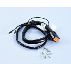 Cableado para centralita POLINI para motores de sentido horario