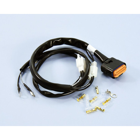 Cableado para centralita POLINI para motores de sentido antihorario