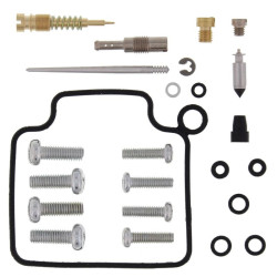 Kit reparación de carburador ALL BALLS