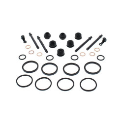 Kit reparación pinza de freno ALL BALLS