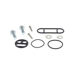 Kit reparación grifo de gasolina ALL BALLS