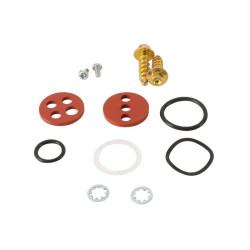 Kit reparación grifo de gasolina ALL BALLS