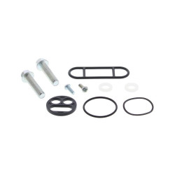 Kit reparación grifo de gasolina ALL BALLS