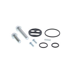 Kit reparación grifo de gasolina ALL BALLS