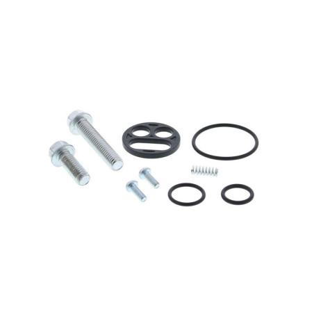 Kit reparación grifo de gasolina ALL BALLS